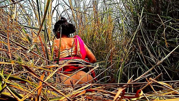 Öffentliche Nacktheit Und Upskirt-Fotos Von Indischen Bhabhi Auf Dem Feld